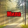 Имя Мила