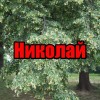Николай