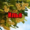 Илья